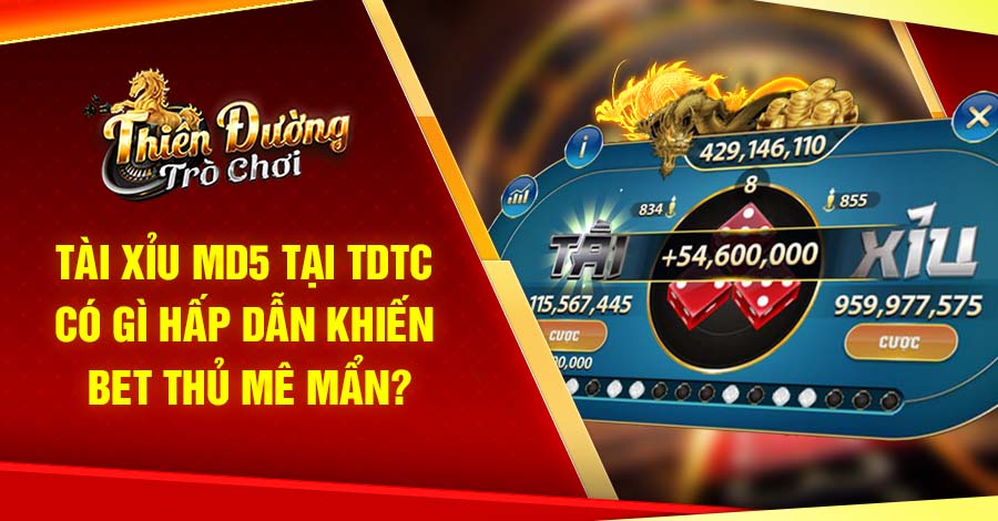 Tài Xỉu MD5 Tại TDTC Có Gì Hấp Dẫn Khiến Bet Thủ Mê Mẩn?