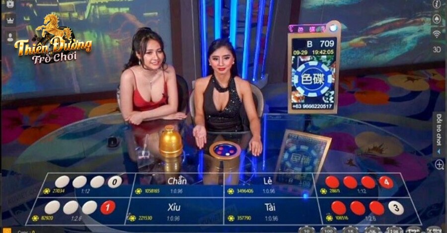 Cách nhìn hình vị Xóc Đĩa đặt cửa cực kỳ chuẩn xác