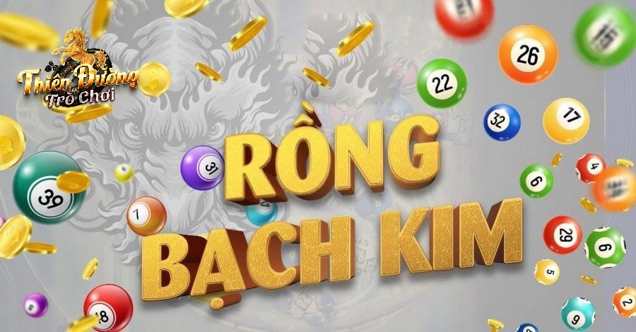 Một số vấn đề chú ý khi soi cầu Rồng Bạch Kim